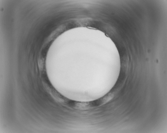 X0000052610139200507221709