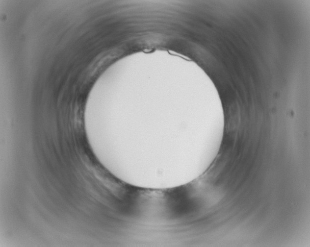 X0000052610140200507221709