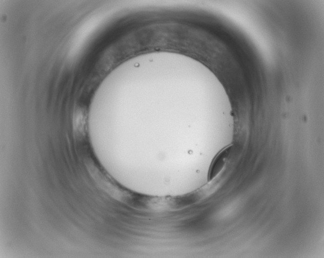 X0000052610142200507221709