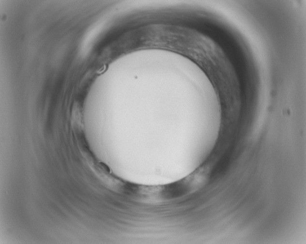 X0000052610143200507221708