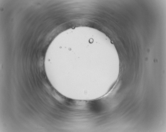 X0000052610144200507221708