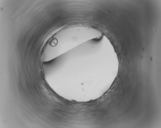 X0000052610146200507221708