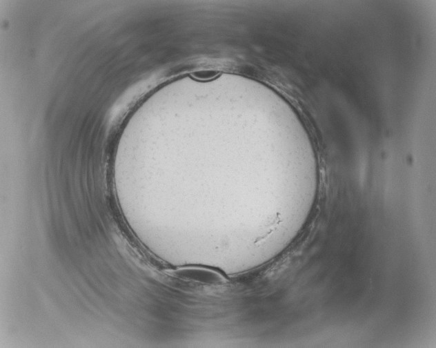 X0000052610149200507221708