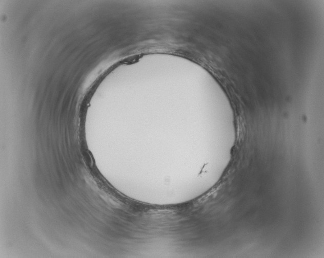 X0000052610150200507221708