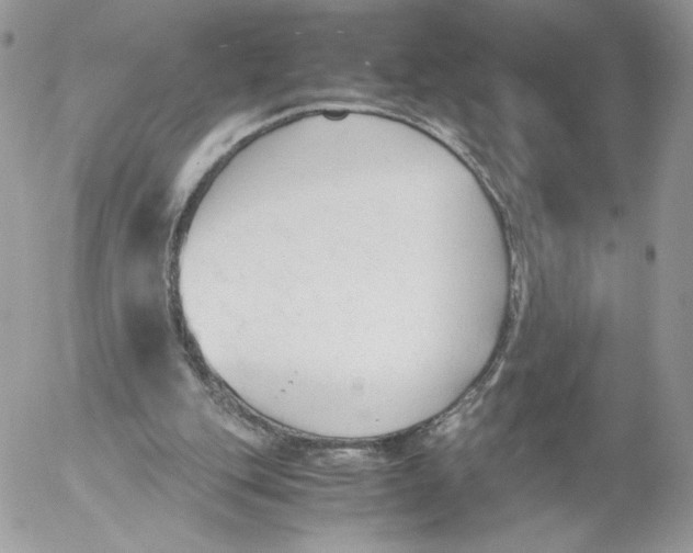 X0000052610151200507221708