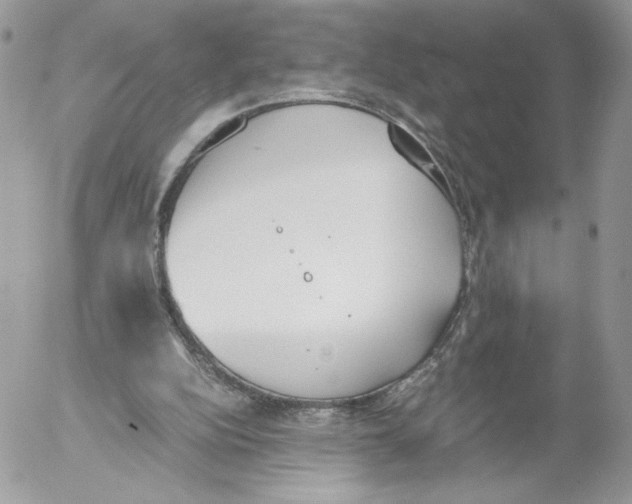 X0000052610152200507221708