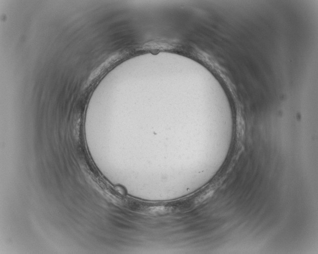 X0000052610153200507221708