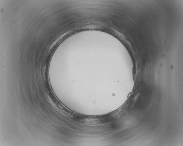 X0000052610154200507221708