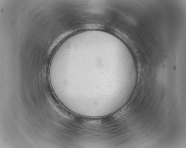 X0000052610155200507221708