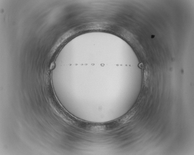 X0000052610156200507221708