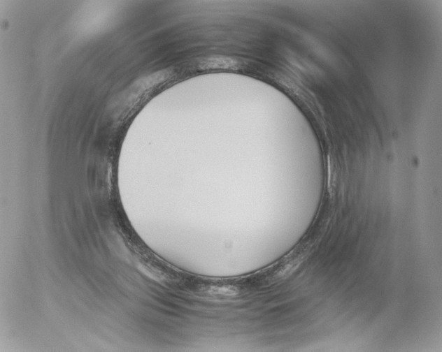 X0000052610157200507221708