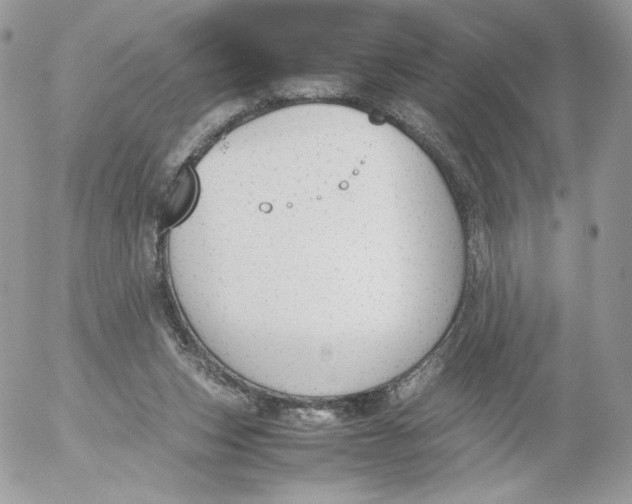 X0000052610159200507221708