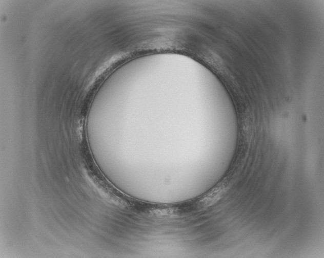 X0000052610160200507221708