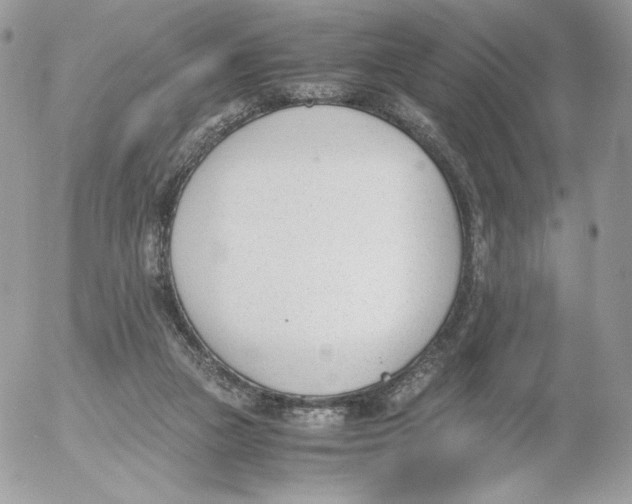 X0000052610161200507221708