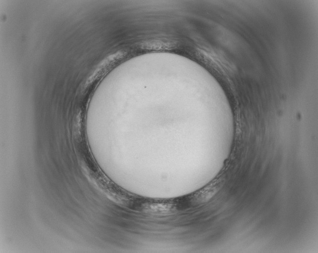 X0000052610163200507221708