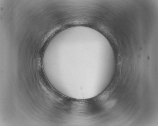 X0000052610164200507221708