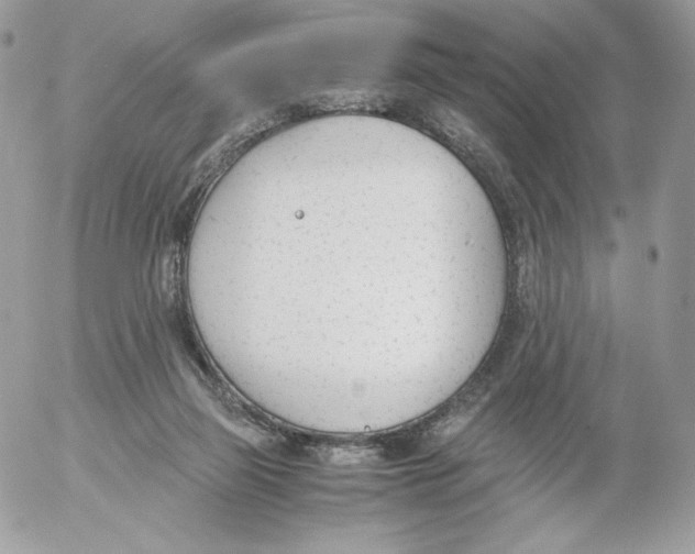 X0000052610165200507221708