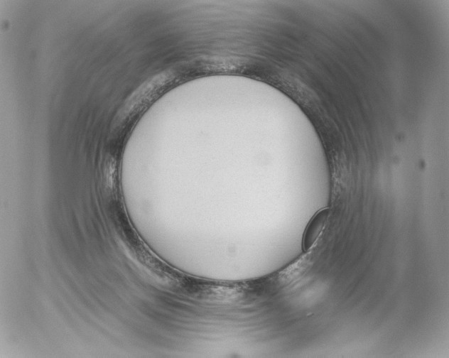 X0000052610166200507221708