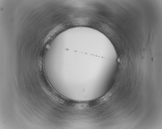 X0000052610168200507221708