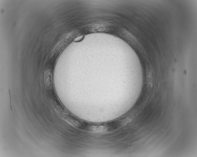 X0000052610169200507221708