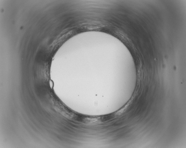 X0000052610170200507221708