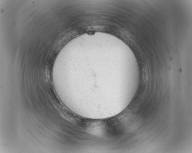 X0000052610173200507221708