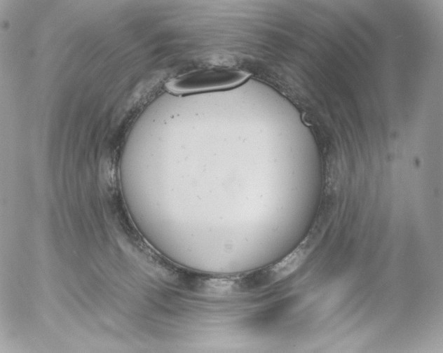 X0000052610176200507221708