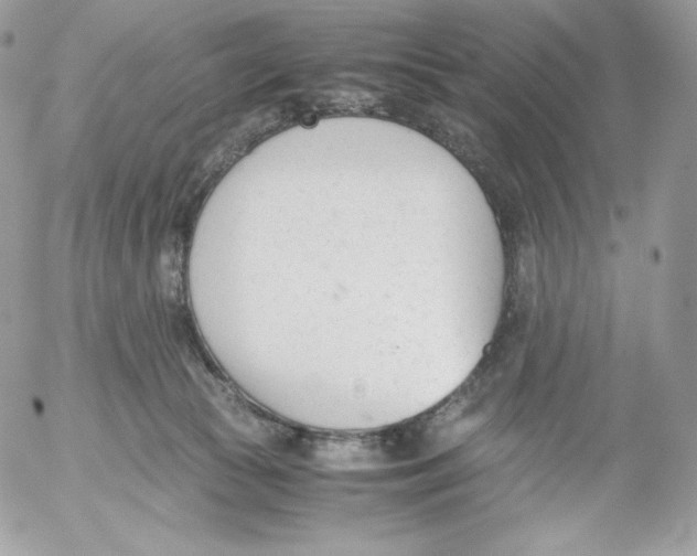 X0000052610177200507221708