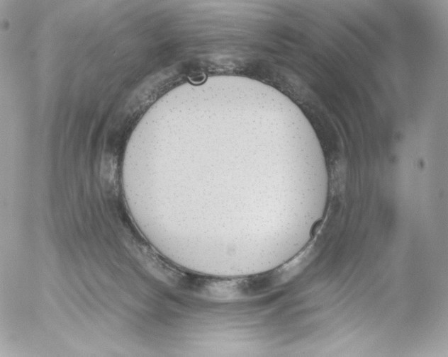 X0000052610178200507221708