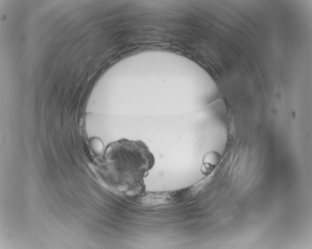 X0000052610179200507221708