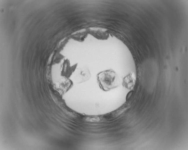 X0000052610181200507221708