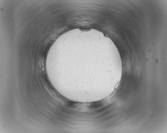 X0000052610182200507221708