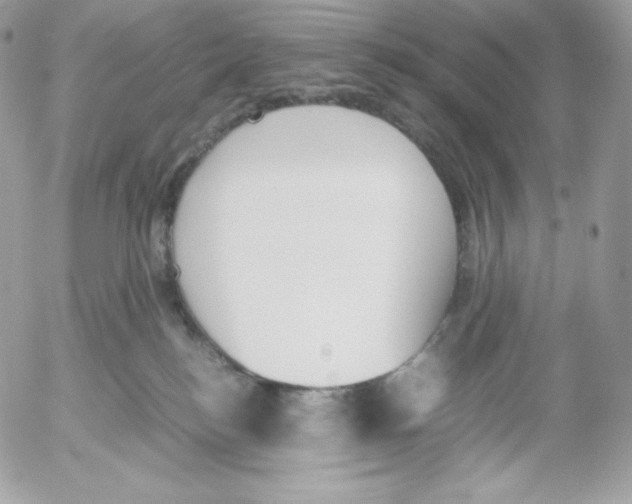 X0000052610184200507221708