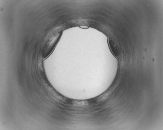 X0000052610185200507221708