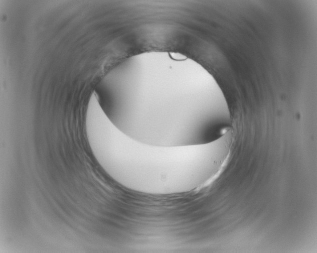 X0000052610186200507221708