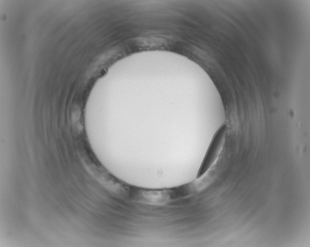 X0000052610187200507221708