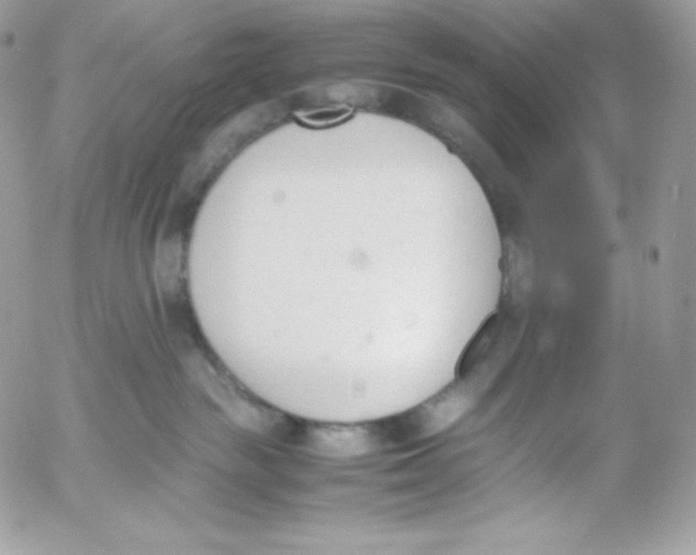 X0000052610189200507221708