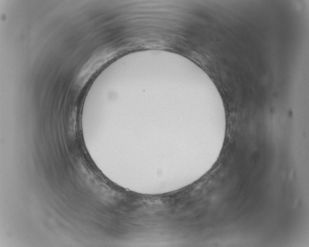 X0000052610194200507221708