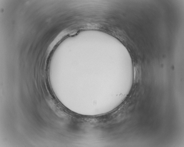 X0000052610195200507221708