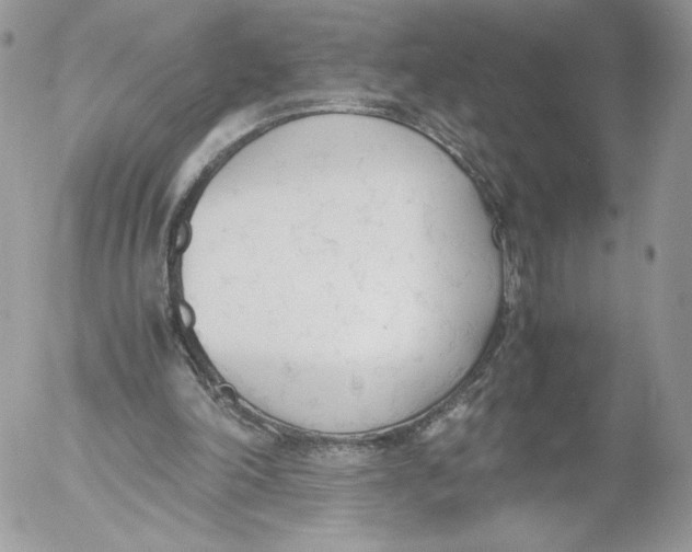 X0000052610198200507221708