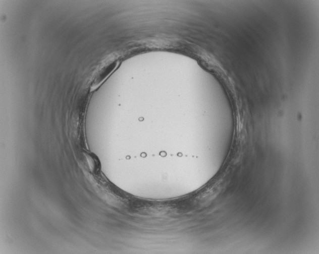 X0000052610201200507221708