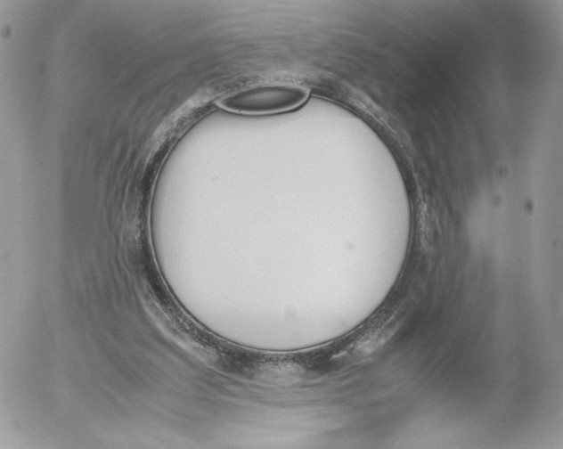 X0000052610203200507221707