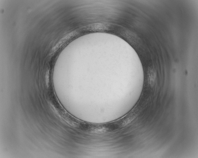 X0000052610206200507221707