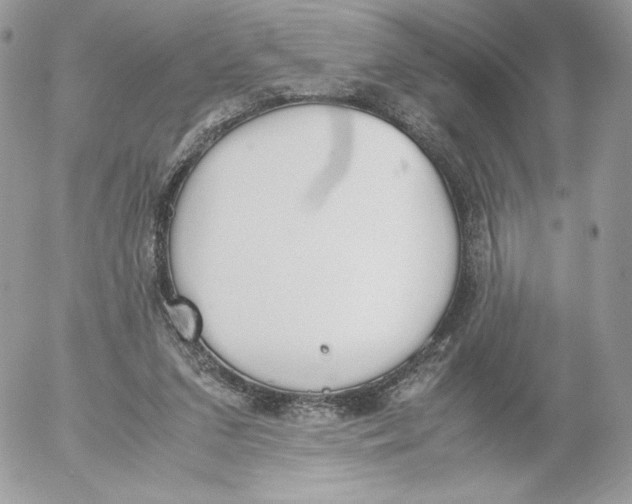 X0000052610207200507221707