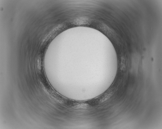 X0000052610210200507221707