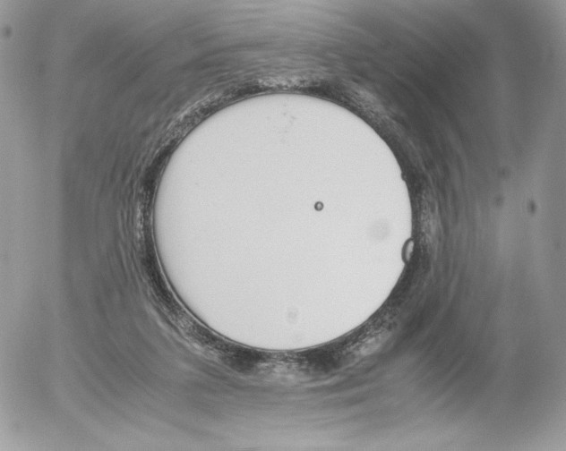 X0000052610211200507221707