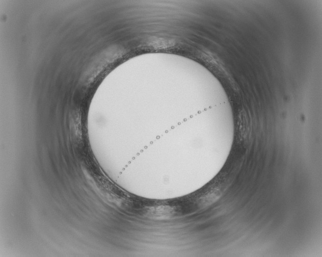 X0000052610212200507221707