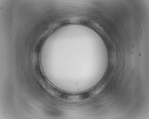 X0000052610213200507221707