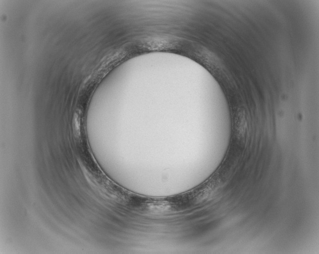 X0000052610214200507221707