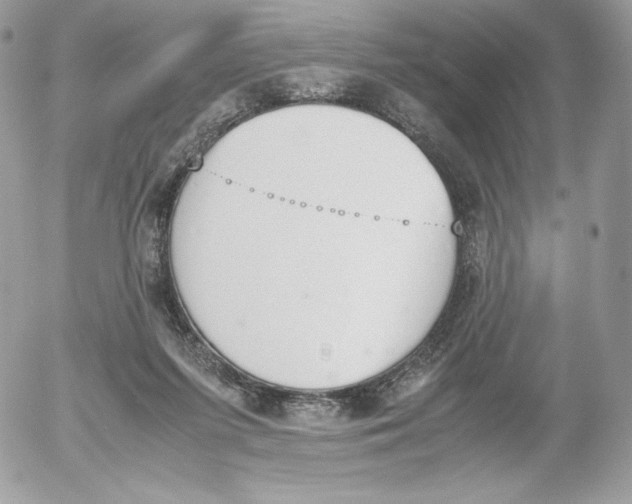 X0000052610215200507221707